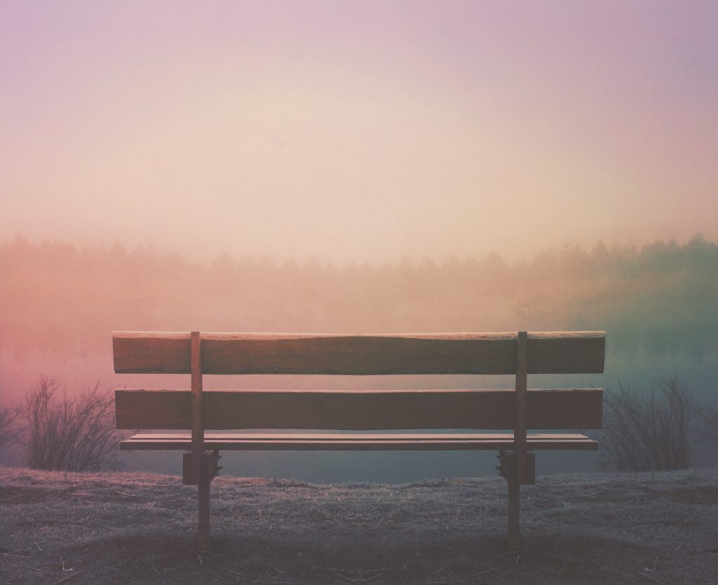 Brown wooden bench on a hill overlooking a forest with a pastel filtered light in the air